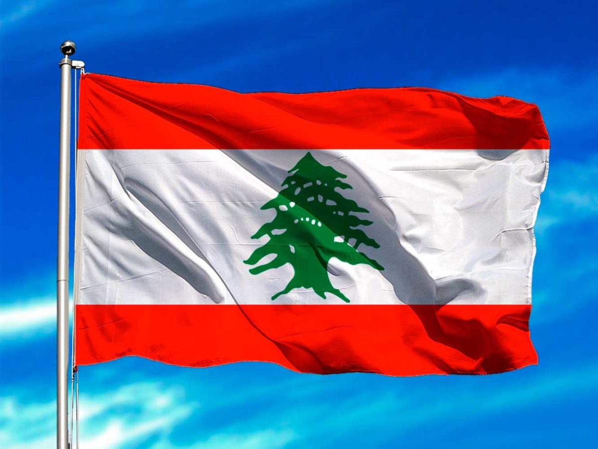  Cedro del Líbano